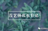 3.8女神节特辑｜不可错过的一抹樱花粉