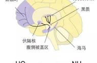 健身不再靠毅力，5个方法，让你的健身历程就像打游戏