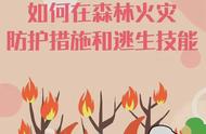 应急科普#【一图读懂森林火灾的防护措施和逃生技能】