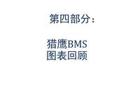 模拟飞行 BMS 中文手册 通信和导航 4.1机场示意图意图