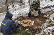 四川深山农村：农民们冒着大雪掘地挖宝