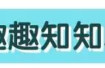 只知道给孩子看汪汪队、超级飞侠？其实更好更有趣的是这些