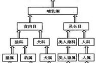 FPS ARPG游戏该如何复制《无主之地》的成功？