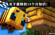 Minecraft蜜蜂养殖指南：关于蜜蜂，你可能不知道的13个冷知识