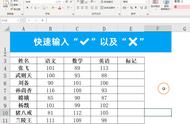 Excel中快速输入√与×号，输入xx显示为√，zz显示×号