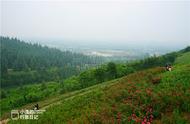 西安秦岭秘境花谷，终南山环绕中的立体画卷，春光无限、花开正浓