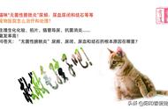 猫咪无菌性膀胱炎、尿频尿闭尿血和结石，是怎么来的？怎么办？