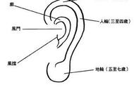 看福在耳：如何通过相耳来看一个人流年运势呢