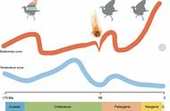 鸟类从侏罗纪起源至今历经几次演化？来看中科院最新研究成果→