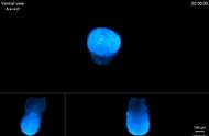 《细胞》重磅：炫酷到爆！史上最清晰胚胎发育过程动态视频发布，生命的早期竟如此壮美（多高清图）丨科学大发现