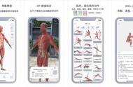 上线4月冲到iPad健康排行榜第一，「运动解剖」想做健身爱好者的AR版“工具书”