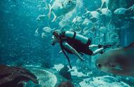 「一生一次」亚特兰蒂斯壕无人性的水族箱深潜体验，畅游海底世界
