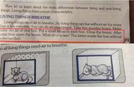 印度教科书教孩子如何杀死小猫：看，它被闷死了！