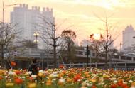 广州11区花市指南！除了逛现场，AI花市大师年花还可配送到家