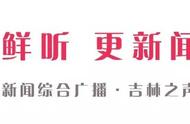 「@长春人」快瞧！长春一公园树上住着一群“小动物”