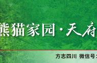 【方志四川•民俗】蓬安水龙舞，水韵新城的民俗风情