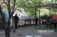 这个小区上百处“私家花园”列入拆违名单｜建得再好也不给留