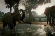 E3：《动物园之星》将于年内上线 目前已开启预售