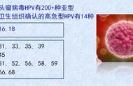 公鸡中的战斗机 ---人乳头瘤病毒16型（HPV16）