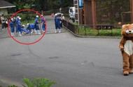 别开生面！日本动物园举办动物逃脱演习，人扮狮子站立狂奔