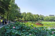 北京市属公园夏花观赏季：这14处景点有何看头？