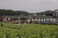 广东十个大美村落，入选全国首批乡村旅游重点村