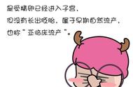 “生化妊娠”的秘密：你以为怀孕的，检查却被告知流产，怎么回事