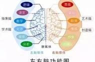 0-6岁孩子的智力开发关键在右脑？这些游戏让娃的右脑活起来