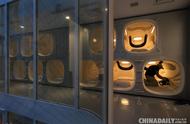 日本9小时胶囊旅馆 精致舒适简直就是未来感“睡眠舱”