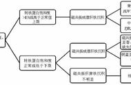 遗传性血色病的基因诊断