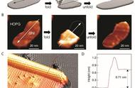 全世界最小、原子级精准、可按需定制：石墨烯“折纸术”了解一下