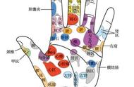 每天按摩这里2分钟，解决你的颈椎病、关节炎、便秘……