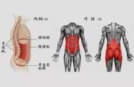 韵动一下｜要想马拉松跑得好，核心训练不能少