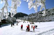 狗拉雪橇、雪地温泉安排了吗？金佛山冰雪节给你准备好了