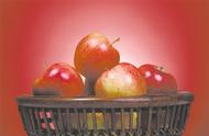 可保鲜一年的“宇宙脆”苹果 育种何以耗资千万