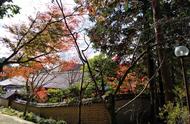 奈良的绵绵青山间，寻访大唐的背影