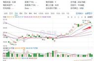 大举裁员80%，日本首富投的又一独角兽凉了 暴赚“神话”彻底破灭？