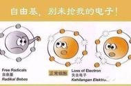 小心｜“自由基”过量是健康的一大杀手！30岁后注意做好这几件事