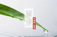 夜读｜雨水：春雨足，染就一溪新绿