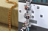 受蛇启发 科学家研发出能滑行并越过障碍物的机器人