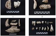 “玉文化”起源追溯至9000年前，解读十大考古新发现