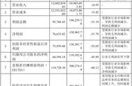 提5千亿宏愿 东岭集团净利现金流齐跌、子公司仍列老赖