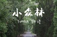 Cool！金山这些“元气森林”一入夏就美成仙境！