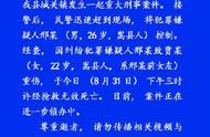 嵩县当街打死前女友男子是当地混混，女孩家属发声：一直反对他们在一起