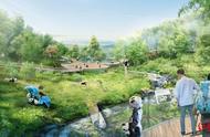 龙泉山“熊猫之窗”开建！一个2000亩的熊猫森林公园，你期待不？