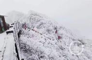 金佛山又落雪了！元旦假期将提前开园，索道运行时间也有调整