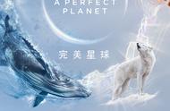 《完美星球》：在不完美的世界完美地活着，大家都干得漂亮呀