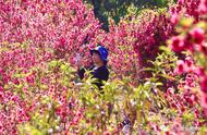 抓住春节假期尾巴，到从化来一场“充电”之旅