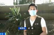 火车相撞！19人遇难，185人受伤！背后折射这个国家铁路系统隐患