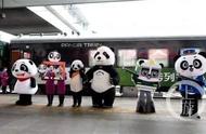 全国首列“熊猫专列”要来重庆了！太可爱了吧